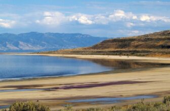 Because the Nice Salt Lake Shrinks, One thing Surprising Is Rising to the Floor